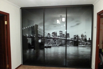 Шкаф-купе с рисунком 14